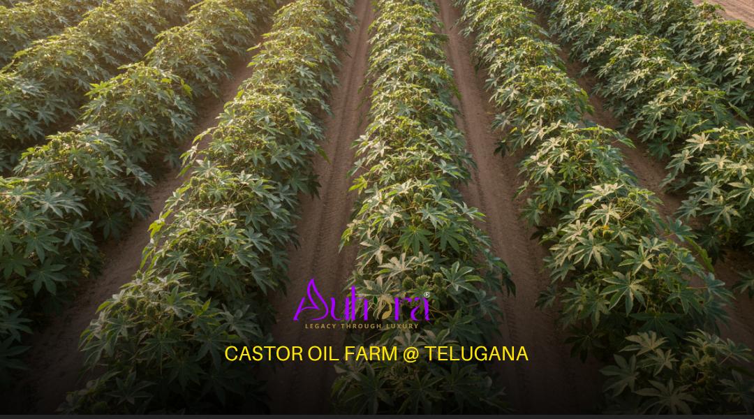 Benefits of Castor Oil for Hair and Skin: Why This Traditional Oil Still Matters