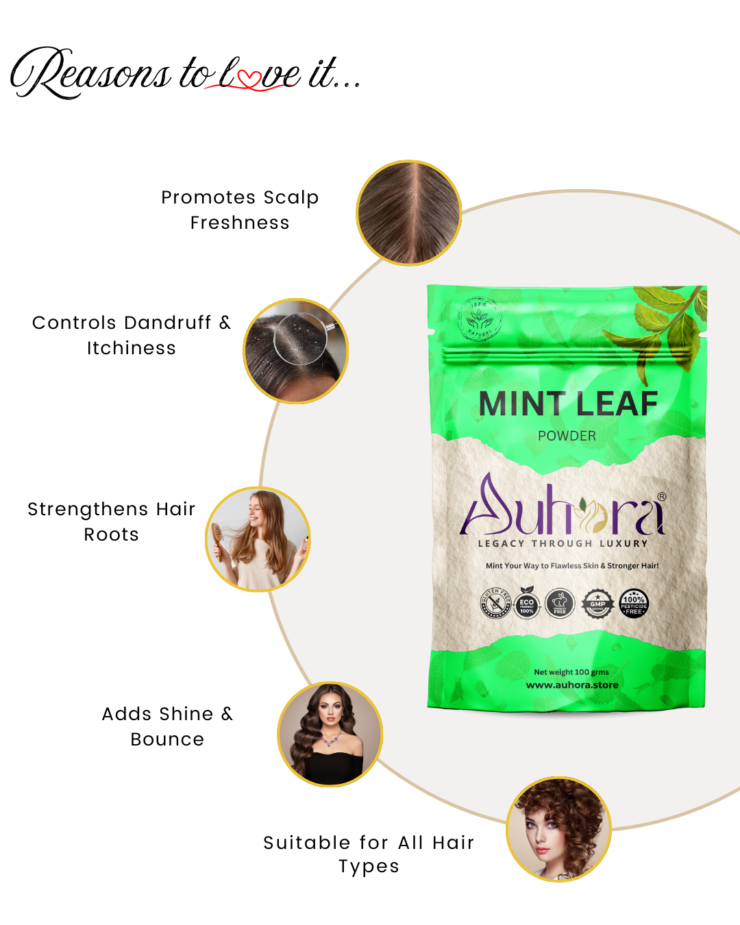 Auhora Mint Leaves Powder