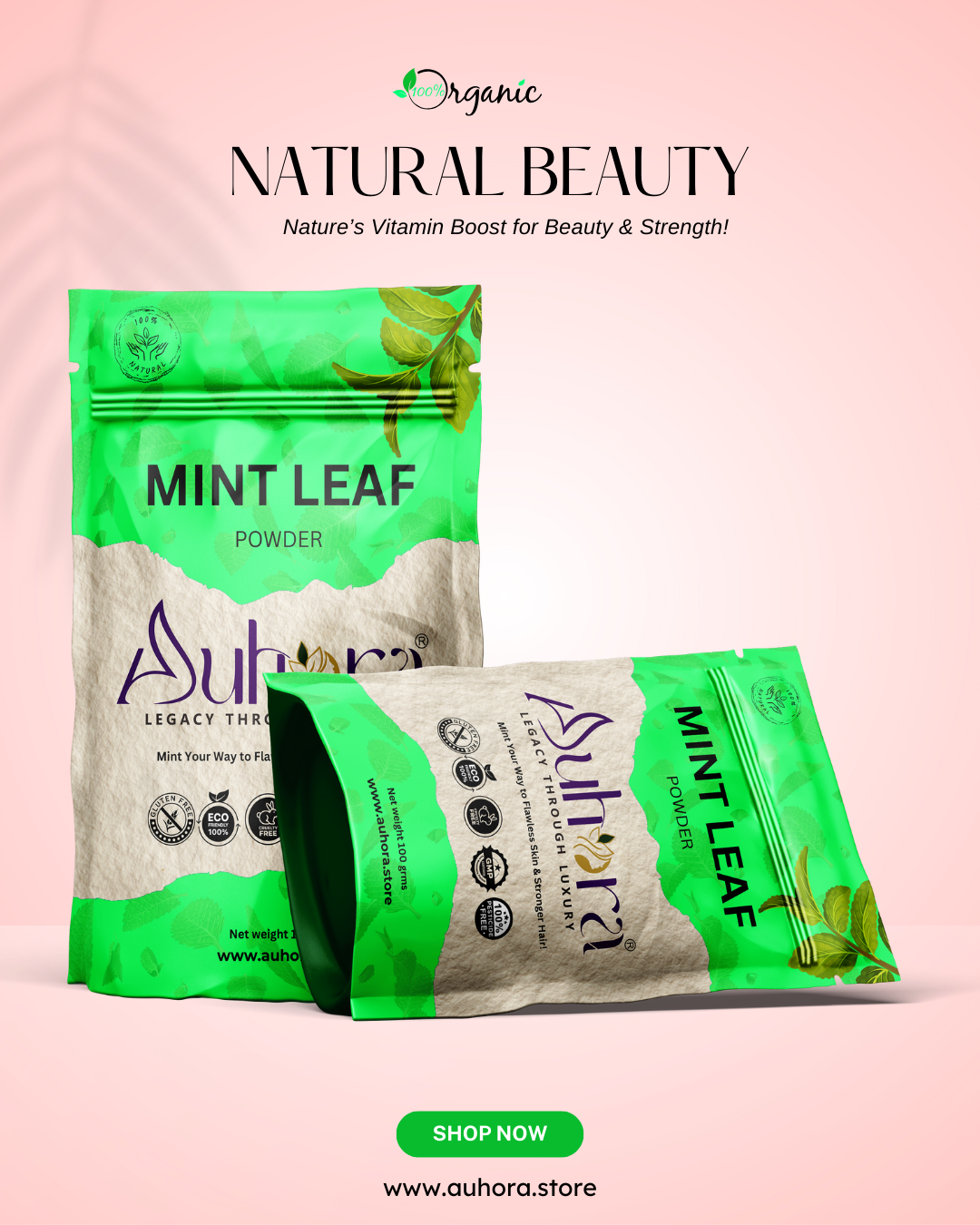 Auhora Mint Leaves Powder