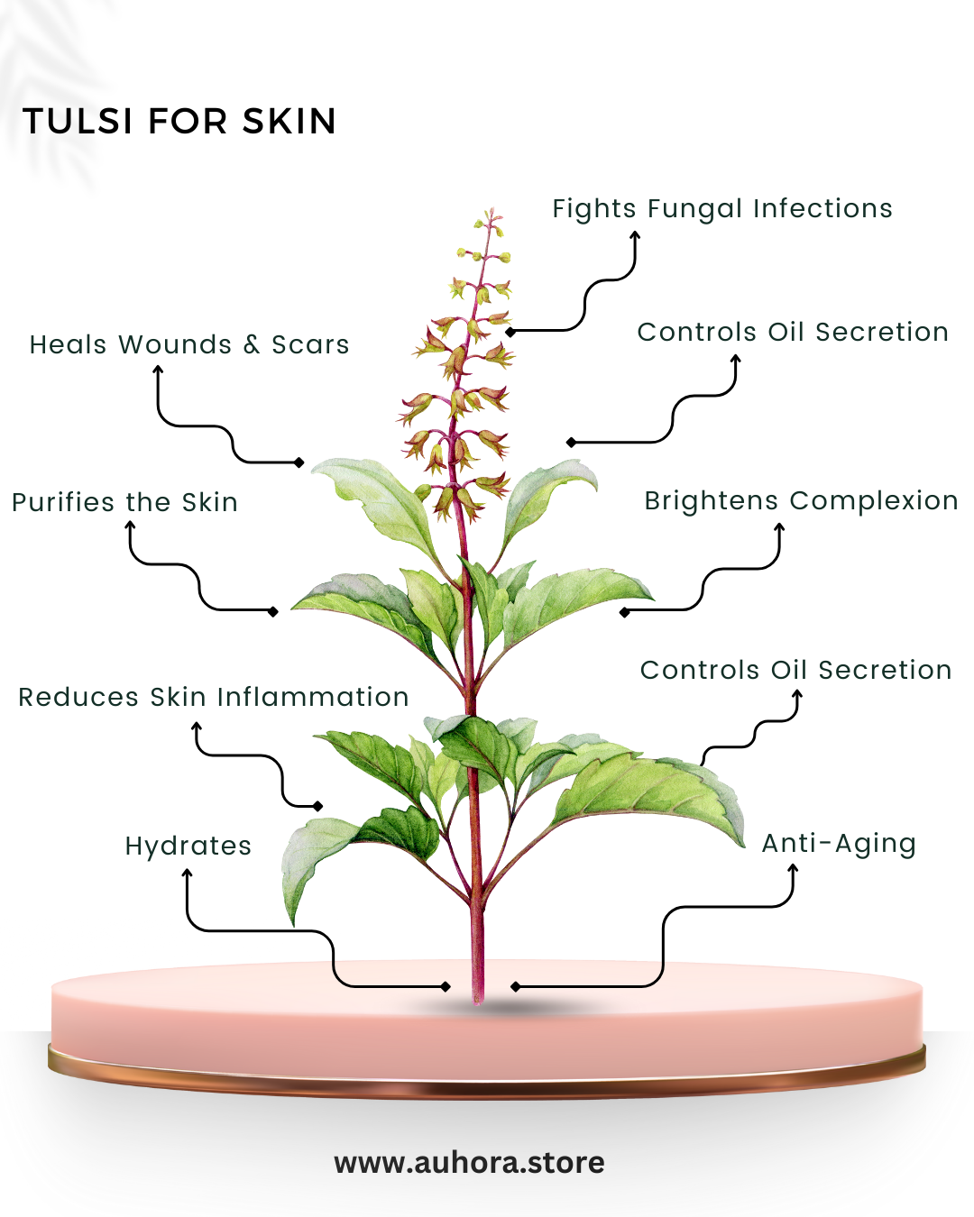 Auhora Neem Tulsi Camel Milk Soap