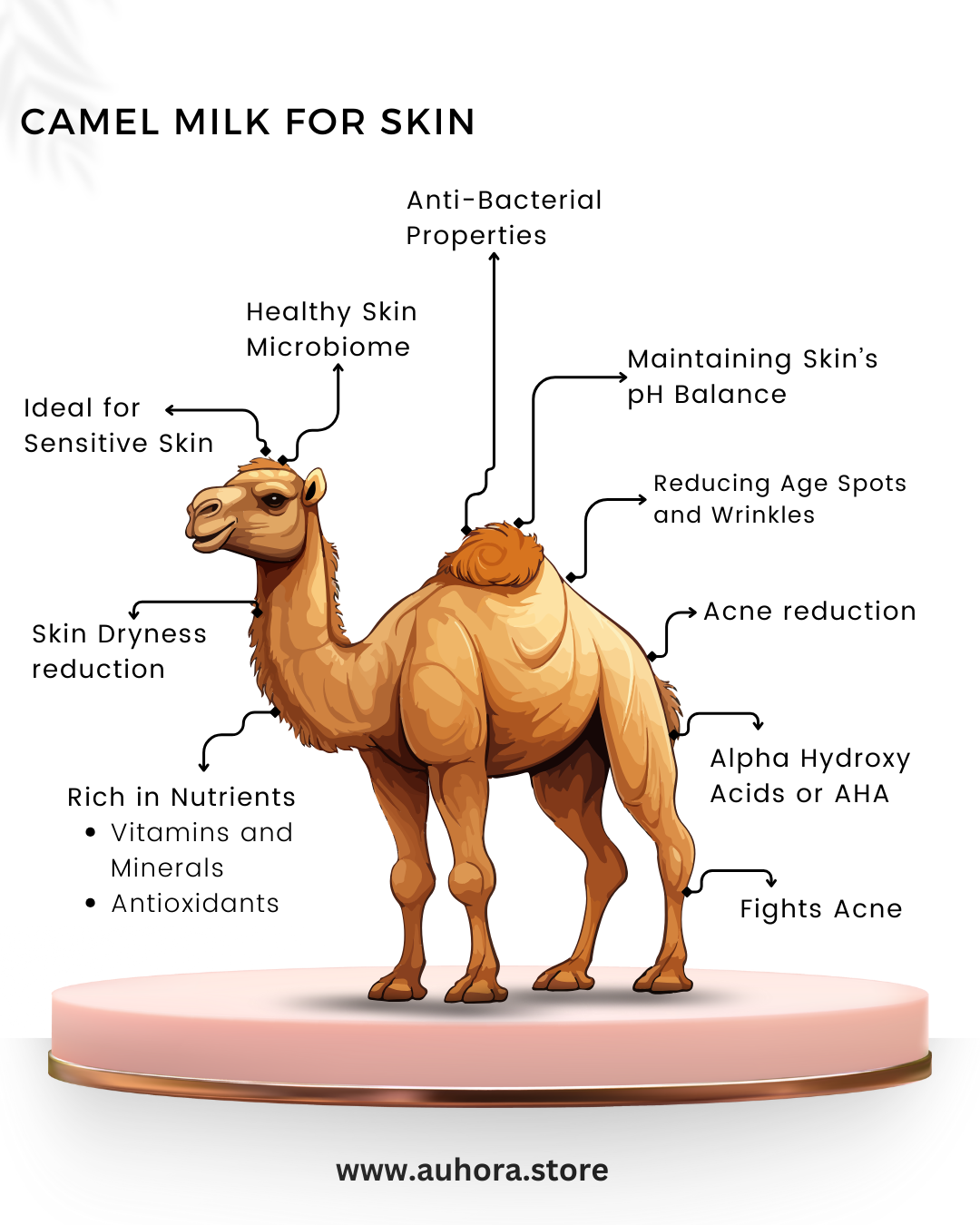 Auhora Neem Tulsi Camel Milk Soap